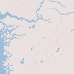 Steinhatchee Florida Terrain Map