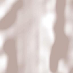 Coyame del Sotol Terrain Map