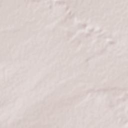 Rayen Terrain Map