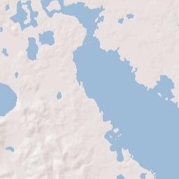 Micanopy Junction Florida Terrain Map