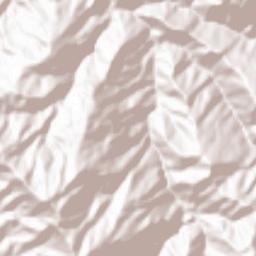 Mukteshwar Terrain Map