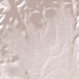 Las Varas (Estación Babícora) Terrain Map