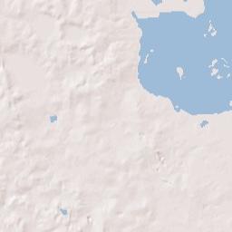 McIntosh Florida Terrain Map