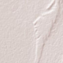 Pesqueira Terrain Map