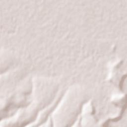 Nicolas Bravo Terrain Map