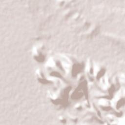 Gómez Farías Terrain Map