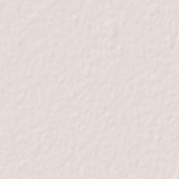 Ferozewala Terrain Map