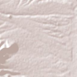 Namiquipa Terrain Map