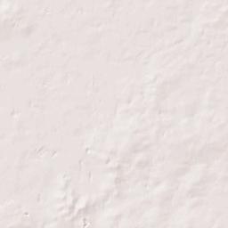 Maricamp Florida Terrain Map