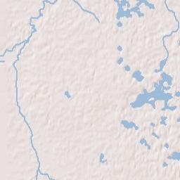 Lynne Florida Terrain Map