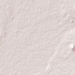Molino de Camou Terrain Map