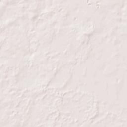 York Florida Terrain Map