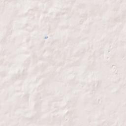 Shady Florida Terrain Map