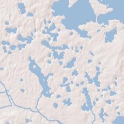 Woods and Lakes Florida Terrain Map