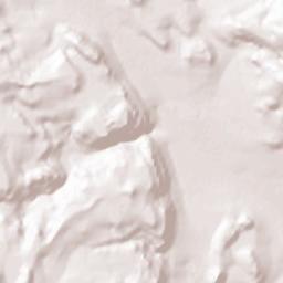 San Carlos Terrain Map