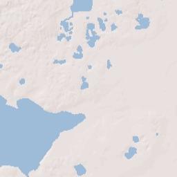 Paisley Florida Terrain Map