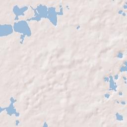 Lady Lake Florida Terrain Map