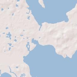 1215 Penn Street Leesburg FL 34748 Terrain Map