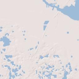 Woodruff Springs Florida Terrain Map