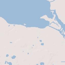 Wynwood Florida Terrain Map