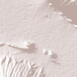 Firuzabad Terrain Map