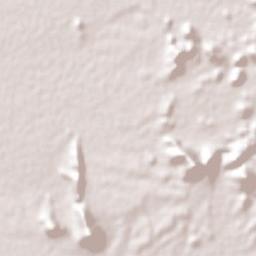 La Colorada Terrain Map