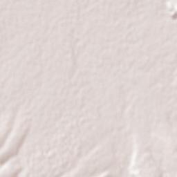 Bachíniva Terrain Map