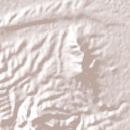 Chihuahua Terrain Map