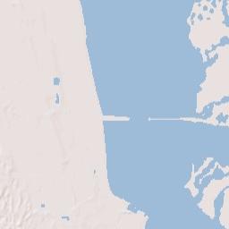 Wiley Florida Terrain Map
