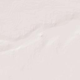 Colonia Venustiano Carranza Terrain Map