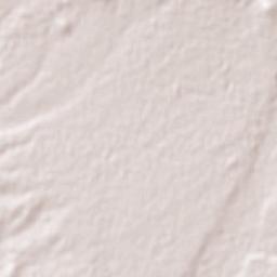 Adolfo López Mateos Terrain Map