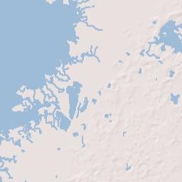 Aripeka Florida Terrain Map