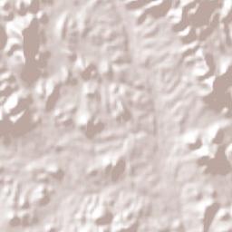 Suaqui Grande Terrain Map