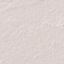 Ampliación Colonia Lázaro Cárdenas Terrain Map