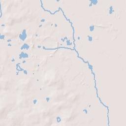 Ellerslie Florida Terrain Map