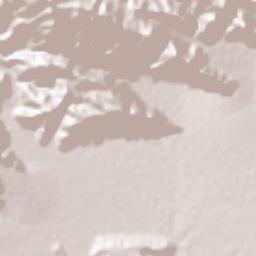 DoBorji Terrain Map