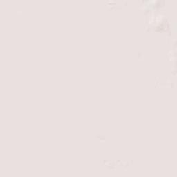 Poyner Florida Terrain Map