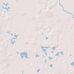 Reunion Florida Terrain Map