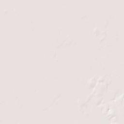 Socrum Florida Terrain Map