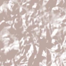 Basaseachic Terrain Map