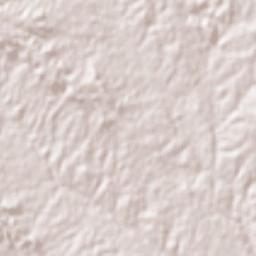 San Lorenzo Terrain Map