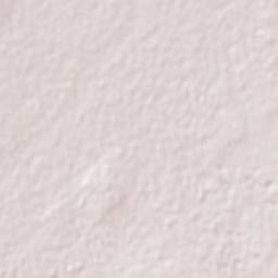 Ciudad Delicias Terrain Map