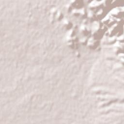 Las Varas Terrain Map