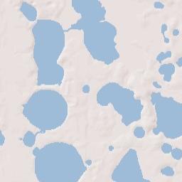 Lynchburg Florida Terrain Map