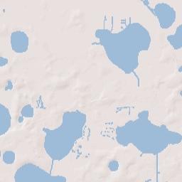 Lake Alfred Florida Terrain Map