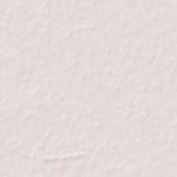 Lakhimpur Terrain Map