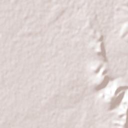 Estación Conchos Terrain Map