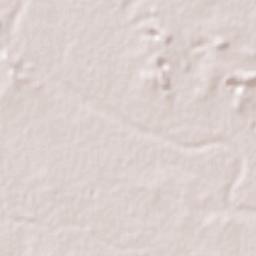 San Juan de Sabinas Terrain Map