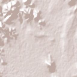 Rosario Terrain Map