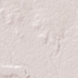 Sabinas Terrain Map
